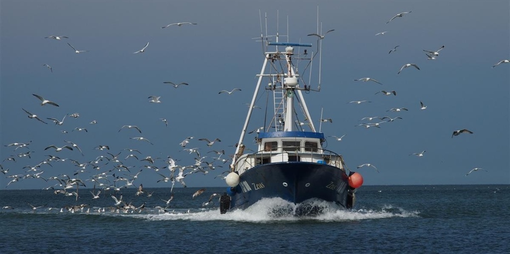 Pesca, Confcooperative Fedagripesca: “Sostegno alla linea La Pietra,...